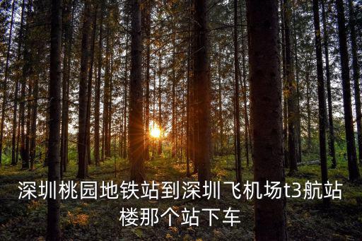 深圳桃園地鐵站確診，深圳桃園地鐵站到深圳飛機場t3航站樓那個站下車