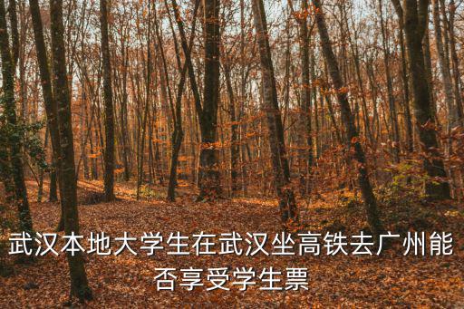 武漢人能去廣州，武漢坐火車到廣州能否隨時(shí)在火車站買到票只要能上車就行
