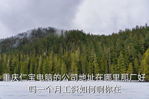 重慶仁寶電腦的公司地址在哪里那廠好嗎一個月工資如何啊你在