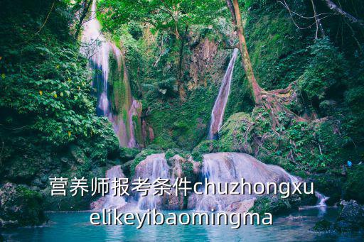 營養師報考條件chuzhongxuelikeyibaomingma