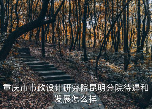 重慶市市政設計研究院昆明分院待遇和發展怎么樣