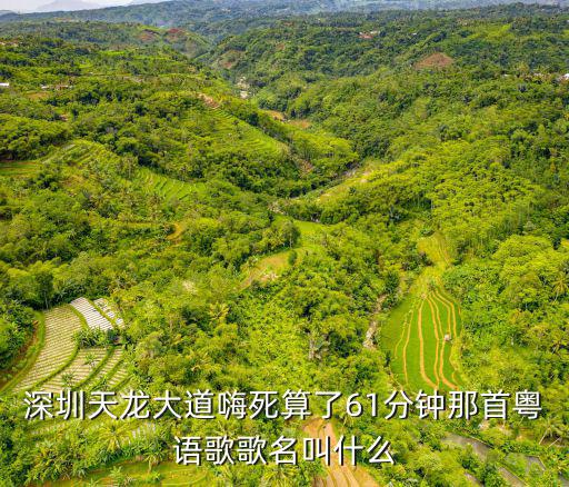 深圳天龍大道嗨死算了61分鐘那首粵語歌歌名叫什么