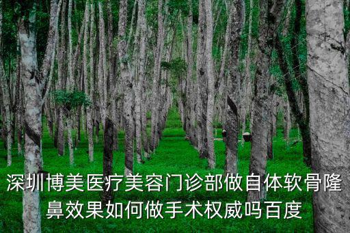 深圳博美醫(yī)療美容門診部做自體軟骨隆鼻效果如何做手術(shù)權(quán)威嗎百度