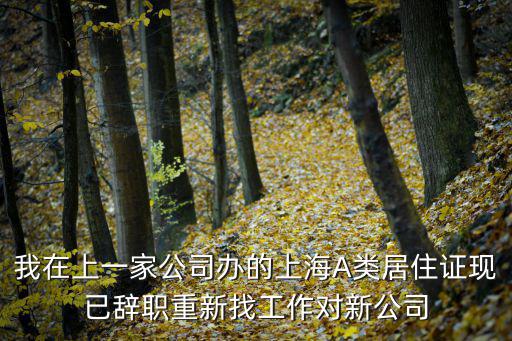 我在上一家公司辦的上海A類居住證現已辭職重新找工作對新公司