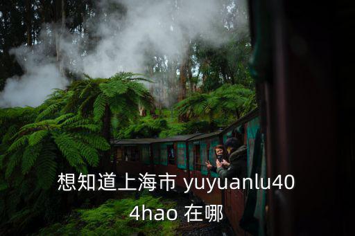 想知道上海市 yuyuanlu404hao 在哪
