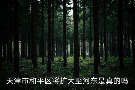 天津市和平區將擴大至河東是真的嗎