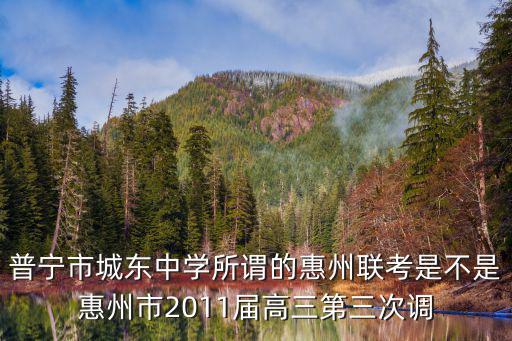普寧市城東中學所謂的惠州聯考是不是惠州市2011屆高三第三次調