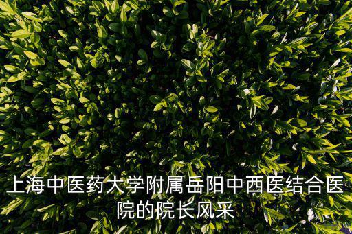 上海中醫藥大學附屬岳陽中西醫結合醫院的院長風采