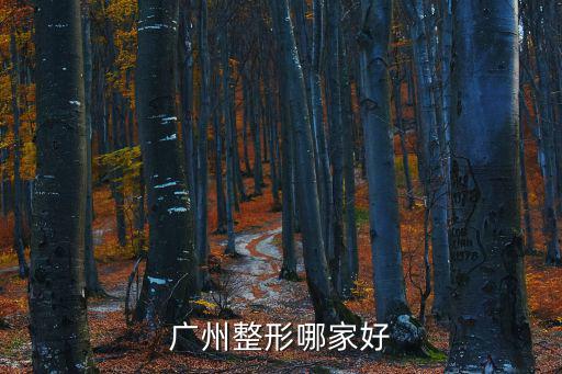廣州整形哪家好