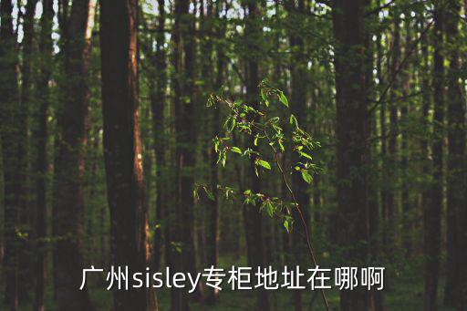 廣州的奧特萊斯在那個地方，廣州sisley專柜地址在哪啊