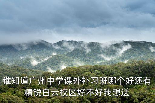 誰知道廣州中學課外補習班哪個好還有精銳白云校區好不好我想送