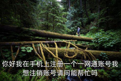 你好我在手機上注冊一個一網通賬號我想注銷賬號請問能幫忙嗎