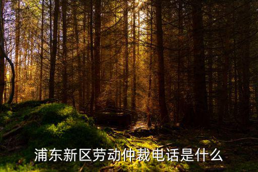 上海市浦東新區(qū)勞動仲裁咨詢熱線，誰知道上海浦東新區(qū)勞動局的電話我有急用謝謝各位