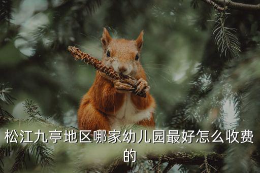 松江九亭地區(qū)哪家幼兒園最好怎么收費(fèi)的
