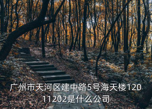廣州市天河區(qū)建中路5號(hào)海天樓12011202是什么公司