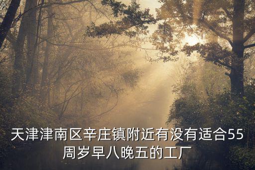 天津津南區辛莊鎮附近有沒有適合55周歲早八晚五的工廠