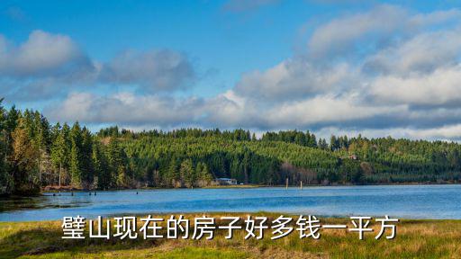 璧山現(xiàn)在的房子好多錢一平方