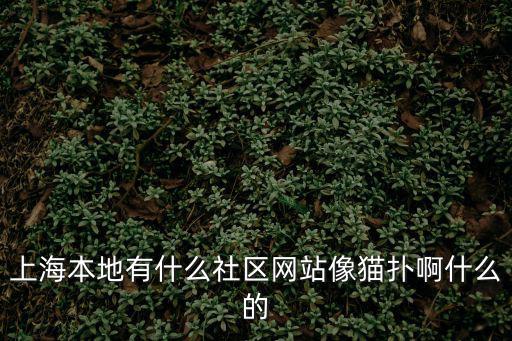 上海本地有什么社區網站像貓撲啊什么的