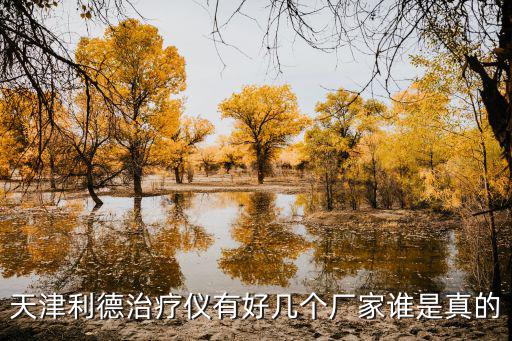 天津利德治療儀有好幾個廠家誰是真的