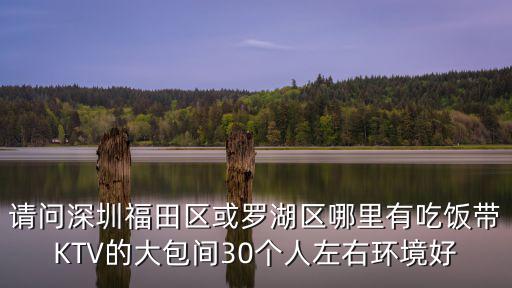 請問深圳福田區或羅湖區哪里有吃飯帶KTV的大包間30個人左右環境好