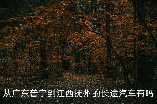 從廣東普寧到江西撫州的長途汽車有嗎