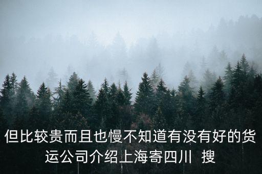 但比較貴而且也慢不知道有沒有好的貨運公司介紹上海寄四川  搜