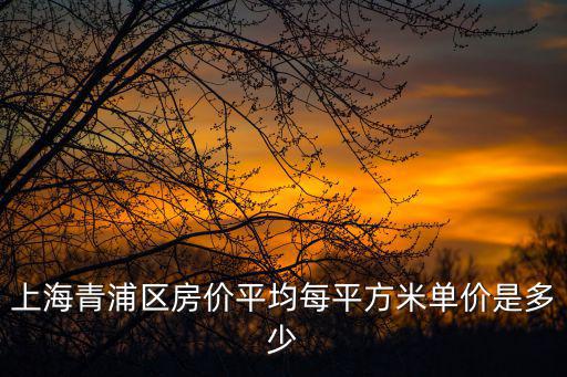 上海青浦區(qū)房?jī)r(jià)平均每平方米單價(jià)是多少