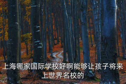 上海哪家國際學校好啊能夠讓孩子將來上世界名校的