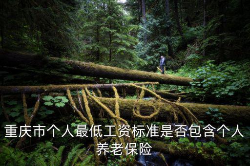 2018重慶市最低養(yǎng)老金，重慶市職工養(yǎng)老保險基數(shù)12月份按照國家標準最低應(yīng)是多少啊