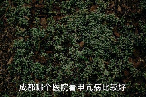成都哪個醫(yī)院看甲亢病比較好