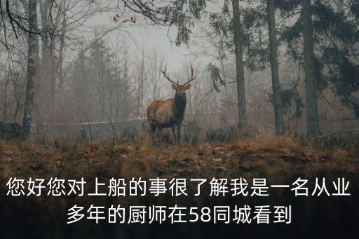 您好您對上船的事很了解我是一名從業多年的廚師在58同城看到