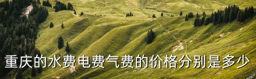 重慶市收費目錄清單，重慶的水費電費氣費的價格分別是多少