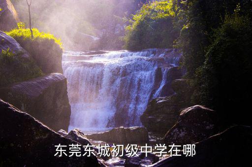 東莞東城初級中學在哪