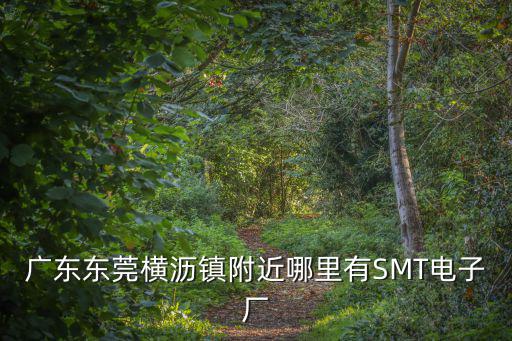 廣東東莞橫瀝鎮附近哪里有SMT電子廠