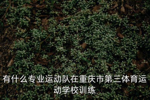 周慶春 重慶市體育局，重慶哪有正規(guī)足球訓(xùn)練