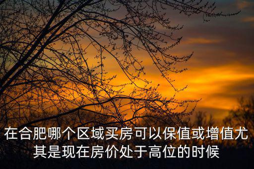 在合肥哪個(gè)區(qū)域買房可以保值或增值尤其是現(xiàn)在房?jī)r(jià)處于高位的時(shí)候