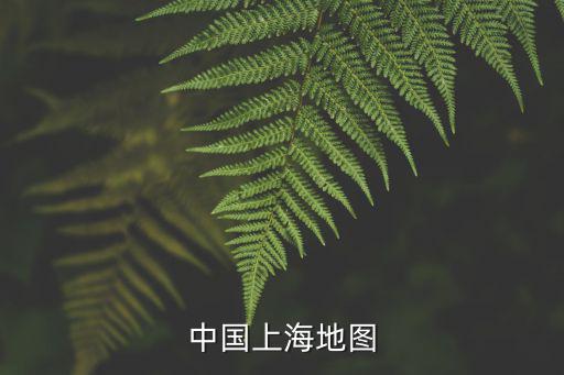 中國上海地圖