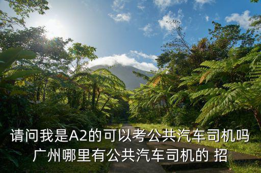 請問我是A2的可以考公共汽車司機嗎廣州哪里有公共汽車司機的 招