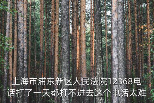 上海市浦東新區人民法院12368電話打了一天都打不進去這個電話太難