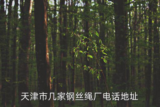 天津市幾家鋼絲繩廠電話地址