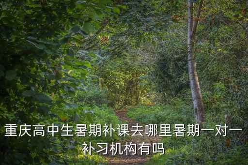 重慶市暑假游泳輔導(dǎo)，重慶高中生暑期補(bǔ)課去哪里暑期一對(duì)一補(bǔ)習(xí)機(jī)構(gòu)有嗎