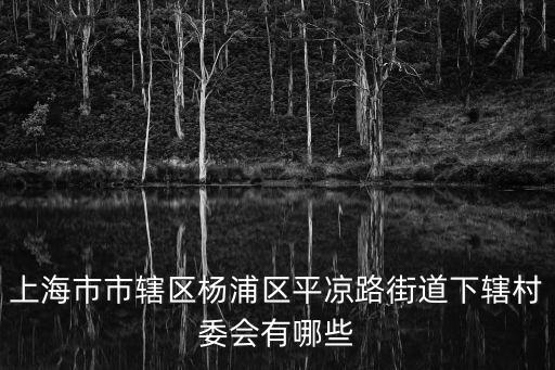 上海市市轄區(qū)楊浦區(qū)平涼路街道下轄村委會有哪些