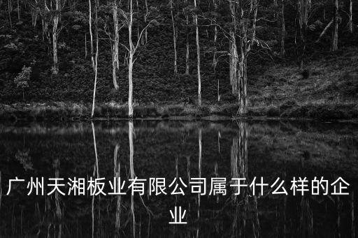 廣州天湘板業有限公司屬于什么樣的企業