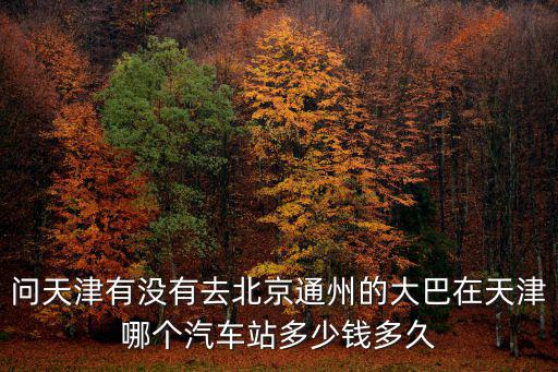 問天津有沒有去北京通州的大巴在天津哪個汽車站多少錢多久