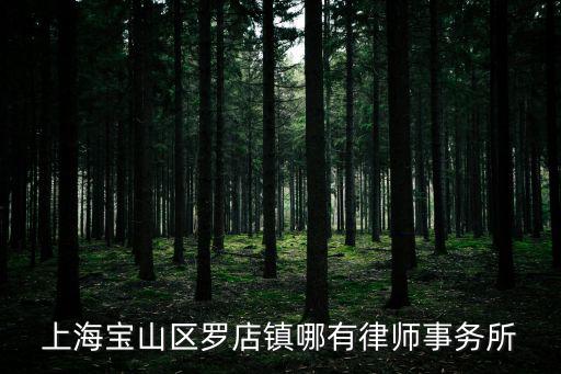 上海寶山區羅店鎮哪有律師事務所
