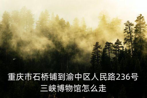 重慶市石橋鋪到渝中區人民路236號三峽博物館怎么走