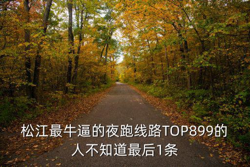 上海市松江區(qū)中央公園跑步距離，松江區(qū)塔匯到松江中央公園坐幾路車在哪站下車