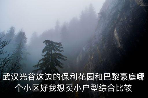 武漢光谷這邊的保利花園和巴黎豪庭哪個小區好我想買小戶型綜合比較