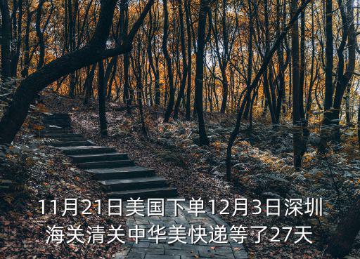 11月21日美國下單12月3日深圳海關清關中華美快遞等了27天