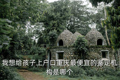 重慶市涪陵區福華大數據，我想給孩子上戶口重慶最便宜的鑒定機構是哪個